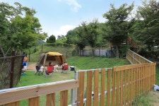 트리독스 애견전용캠핑장 고캠핑