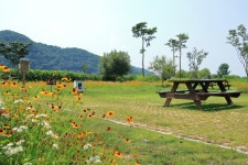 청양 동강리 오토캠핑장