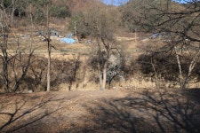 청일관광농원