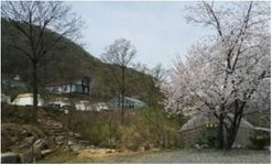 청천수목원 야영장 고캠핑