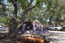 초평밤나무 고캠핑