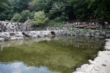 축령산 자연휴양림