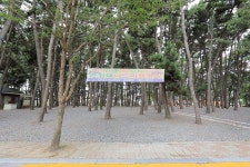 춘장대나드리캠핑장 고캠핑