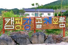골체오름캠핑 고캠핑