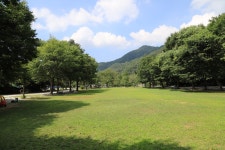 치악신림오토캠핑장