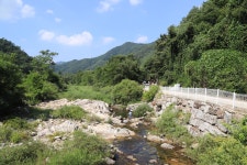 치악신림오토캠핑장