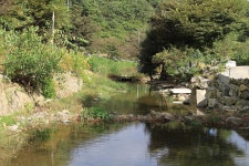 칠갑산도림휴양림캠핑장 고캠핑