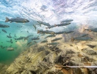 칡소폭포 캠핑장 고캠핑