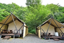 캠핑월드 고캠핑