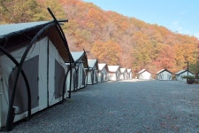 석산계곡 코코비발디글램핑 카라반 오토캠핑장