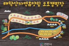 태학산 자연휴양림 오토캠핑장 고캠핑