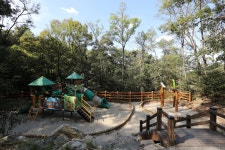 태학산 자연휴양림 오토캠핑장