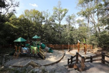 태학산 자연휴양림 오토캠핑장