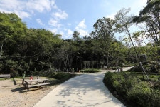 태학산 자연휴양림 오토캠핑장