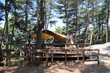 트리캠핑장 고캠핑