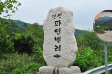 파인벨리 펜션 앤 글램핑 주식회사 고캠핑