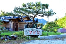 파인트리 캠핑장