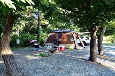 파인트리 캠핑장 고캠핑