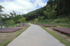 팔공산금화자연휴양림야영장