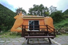 팔공산금화자연휴양림 고캠핑