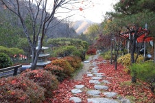 펜션벨뷰캠핑장