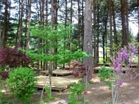 푸른숲캠핑장 고캠핑