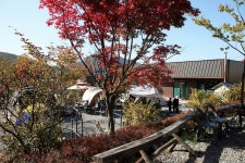 플레이랜드 캠핑장 고캠핑