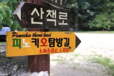 피노키오 자연휴양림 야영장