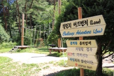 피노키오 자연휴양림 야영장