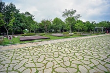 광주시민의 숲 야영장