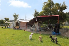 피플앤독 힐링캠핑장 피플앤독 힐링캠핑장 