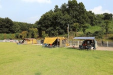 피플앤독 힐링캠핑장 고캠핑