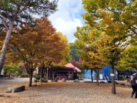 하오재캠핑장 고캠핑