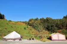 (주)하이원추추파크