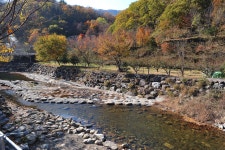 봉강 하조 오토캠핑장