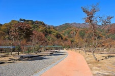 봉강 하조 오토캠핑장 고캠핑