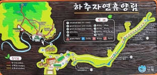 하추자연휴양림 야영장