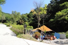 하추자연휴양림 야영장