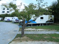 학동자동차 야영장 고캠핑