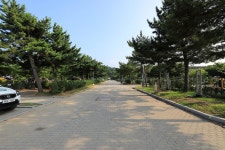 학암포자동차야영장