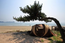 한마음오토캠핑장 고캠핑