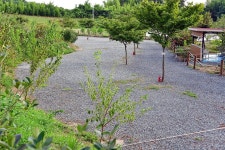 한실관광농원 야영장 고캠핑