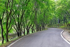 한천 자연휴양림 고캠핑