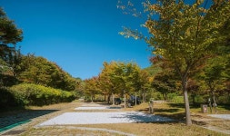 함양용추오토캠핑장 고캠핑