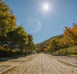 함양용추오토캠핑장