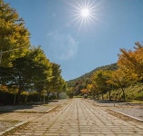 함양용추오토캠핑장 고캠핑