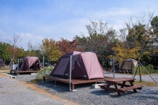 함평나비마을 서울캠핑장