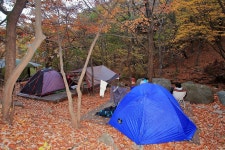 함허동천야영장 고캠핑