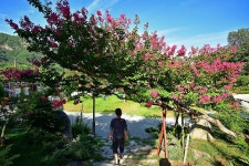 합천휴테마파크 고캠핑