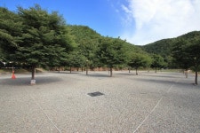 해바라기 캠핑장 고캠핑